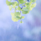 Rainy day
