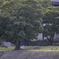 何想う（鴨川）