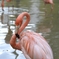 photo_2100854