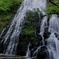 舞い降りる