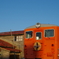 IMGP0254