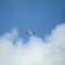 雲と飛行機