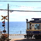 enoden