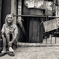 urbanization2