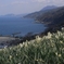 R0010686