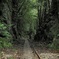 屋久島-永遠に続く線路