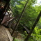 REST IN FOREST