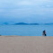 海