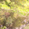 松江百景　秋の色　楽山公園
