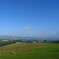 040715_055223