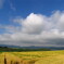 040715_074634
