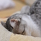 埋まっとるｗ