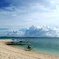 Negros islands