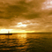 the horizon