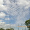 天空の秋雲