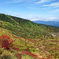 山装う