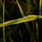 photo_2119844