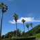 R0016295