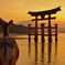 宮島の夕日に臨む