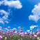 10月の空