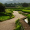 田園の白鷺