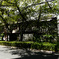 京都、夏