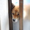 覗きこむ