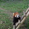 とべ動物園にて２