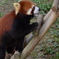とべ動物園にて５