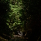 川