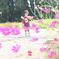 cosmos to ran