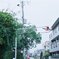 散歩道