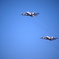 UP-3C & P-3C