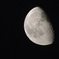 DSCN0576