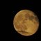 DSCN1915