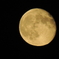 DSCN1923