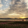 Riverside