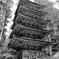 羽黒山　五重塔