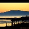 松江百景　宍道湖夕景