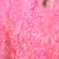EOS M + EF100mmMacro