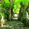 寂光院