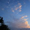 見上げる夕日