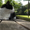 ねこのきもち