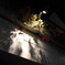Light,　flower, and  shadow 