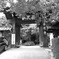 お寺の門前