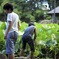 僕らの夏休み