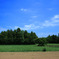 Blue Sky
