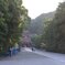 鶴岡八幡宮