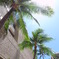 Royal Hawaiian Center前にて