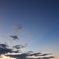 夜へ